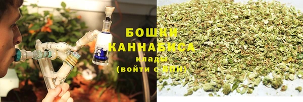 крисы Аркадак