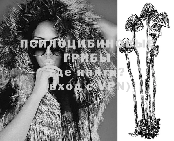 стаф Тавда