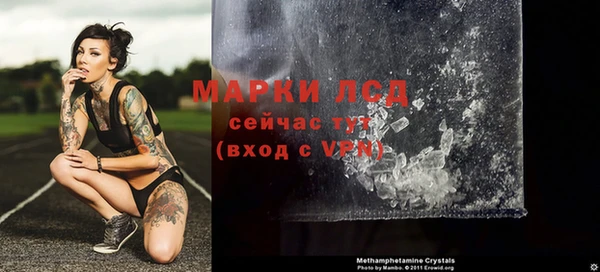 крисы Аркадак