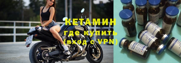 прущие грибы Тайга