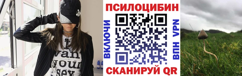 Псилоцибиновые грибы мухоморы  магазин  наркотиков  MEGA зеркало  Усинск 